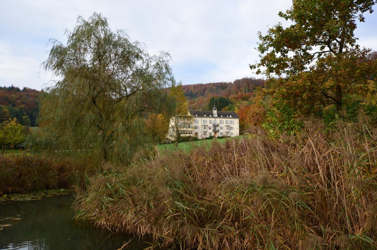 Hotel Bad Schauenburg Liestal Esterno foto