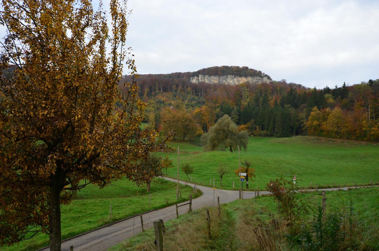 Hotel Bad Schauenburg Liestal Esterno foto